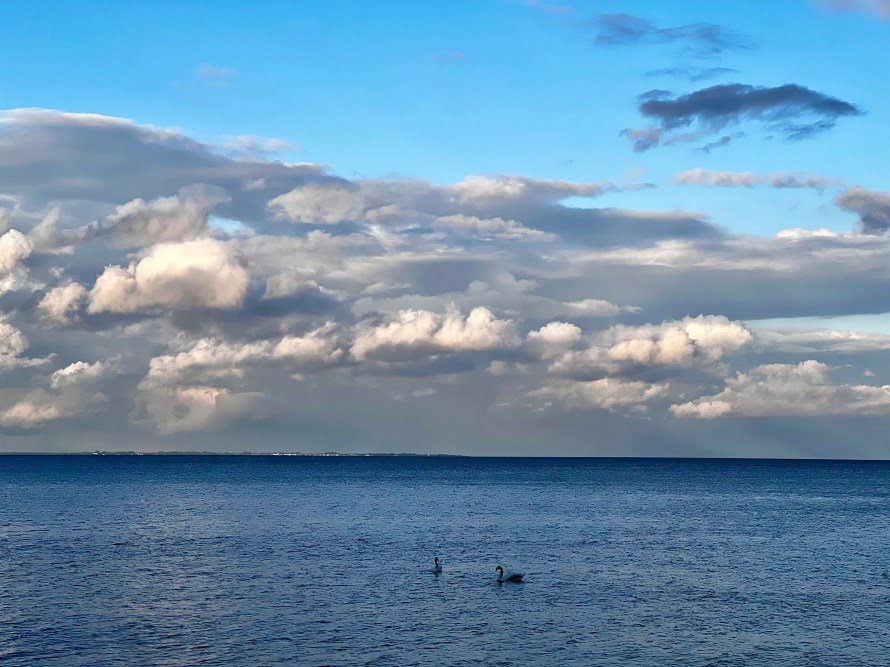 Vista del mar con dos cisnes nadando y un cielo azul despejado con nubes.